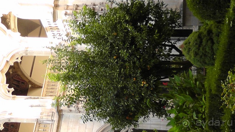 Толедо, Кафедральный собор, как греза о прекрасном