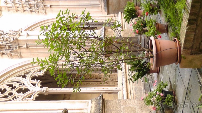 Толедо, Кафедральный собор, как греза о прекрасном