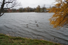Альбом истории "Санкт-Петербург, Россия.  Парк Царскосельского дворца."