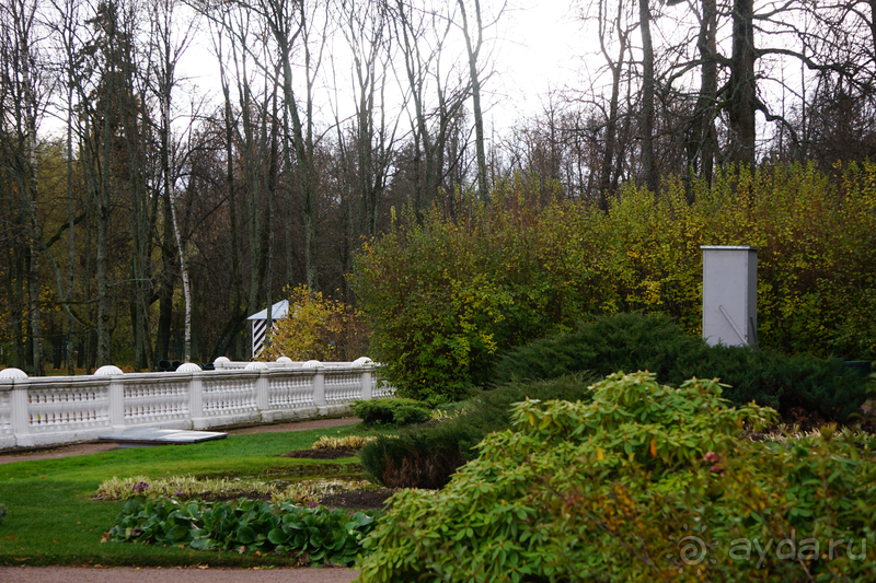 Санкт-Петербург, Россия.  Парк Царскосельского дворца.