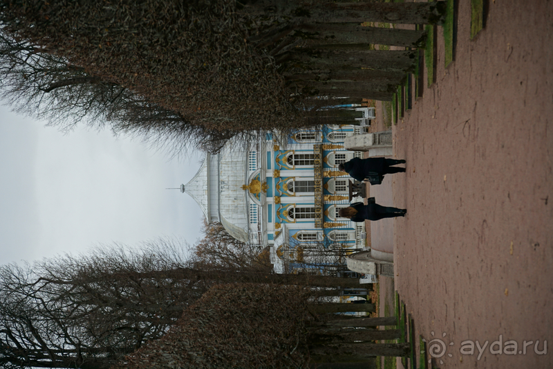 Альбом истории "Санкт-Петербург, Россия.  Парк Царскосельского дворца."