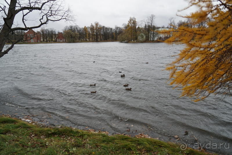Альбом истории "Санкт-Петербург, Россия.  Парк Царскосельского дворца."