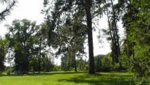 Парк Тростянец - зеленый памятник человеческому труду и природе.