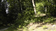 Парк Тростянец - зеленый памятник человеческому труду и природе.