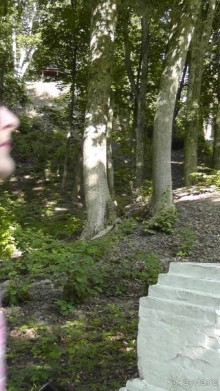 Альбом отзыва "Парк Тростянец - зеленый памятник человеческому труду и природе."