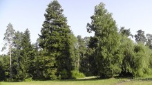 Альбом отзыва "Парк Тростянец - зеленый памятник человеческому труду и природе."