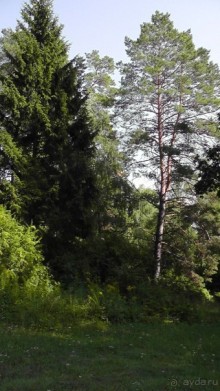 Альбом отзыва "Парк Тростянец - зеленый памятник человеческому труду и природе."