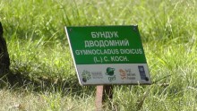 Альбом отзыва "Парк Тростянец - зеленый памятник человеческому труду и природе."