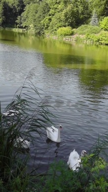 Альбом отзыва "Парк Тростянец - зеленый памятник человеческому труду и природе."