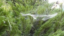 Альбом отзыва "Парк Тростянец - зеленый памятник человеческому труду и природе."