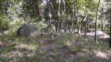 Альбом отзыва "Парк Тростянец - зеленый памятник человеческому труду и природе."