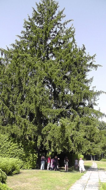 Парк Тростянец - зеленый памятник человеческому труду и природе.