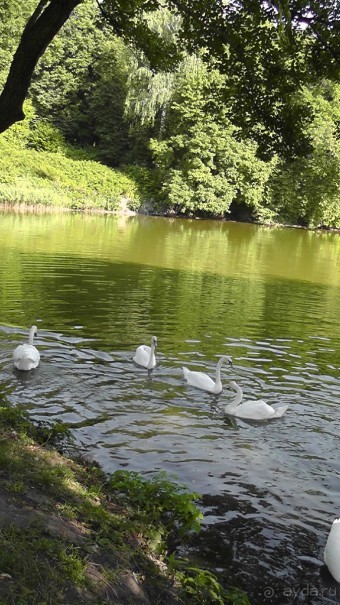 Парк Тростянец - зеленый памятник человеческому труду и природе.