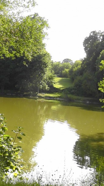 Парк Тростянец - зеленый памятник человеческому труду и природе.
