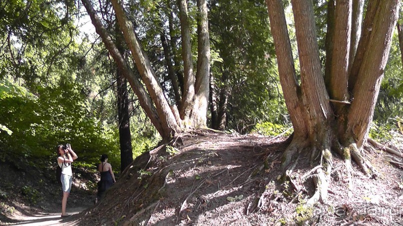 Парк Тростянец - зеленый памятник человеческому труду и природе.