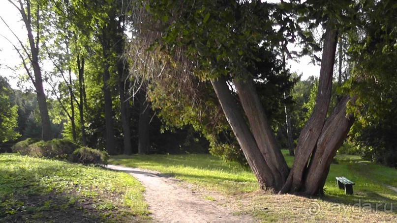 Парк Тростянец - зеленый памятник человеческому труду и природе.