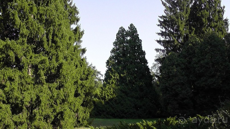 Парк Тростянец - зеленый памятник человеческому труду и природе.