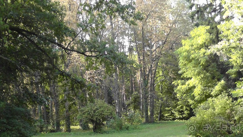 Парк Тростянец - зеленый памятник человеческому труду и природе.