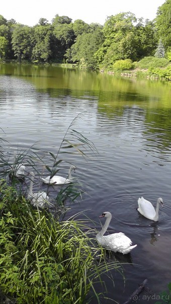 Парк Тростянец - зеленый памятник человеческому труду и природе.