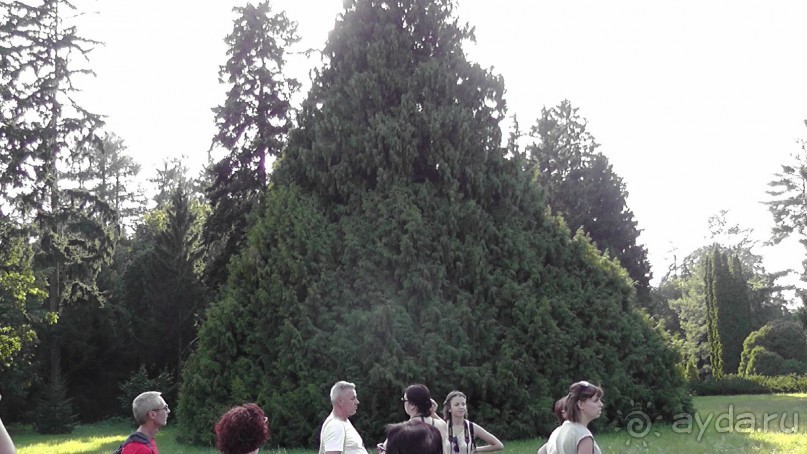 Парк Тростянец - зеленый памятник человеческому труду и природе.