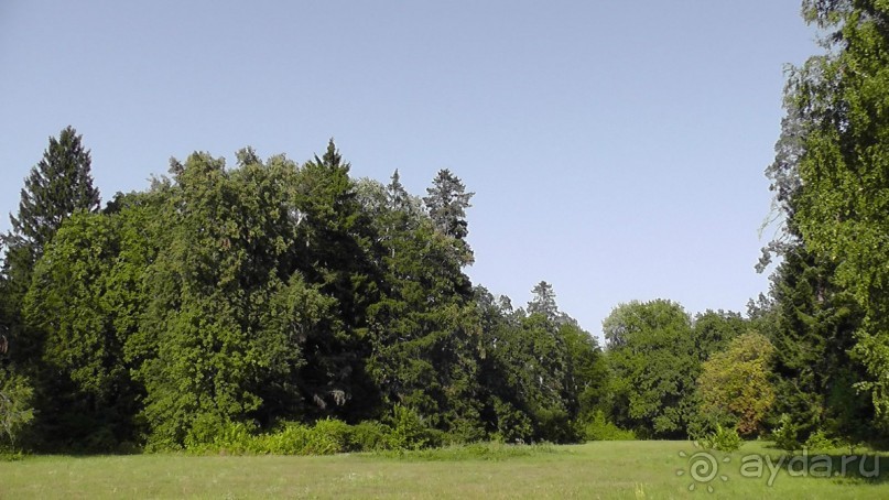 Парк Тростянец - зеленый памятник человеческому труду и природе.