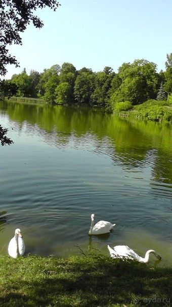 Парк Тростянец - зеленый памятник человеческому труду и природе.