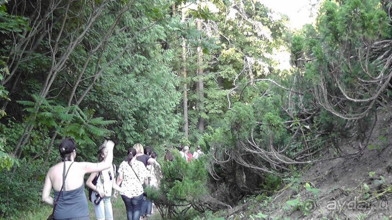 Парк Тростянец - зеленый памятник человеческому труду и природе.