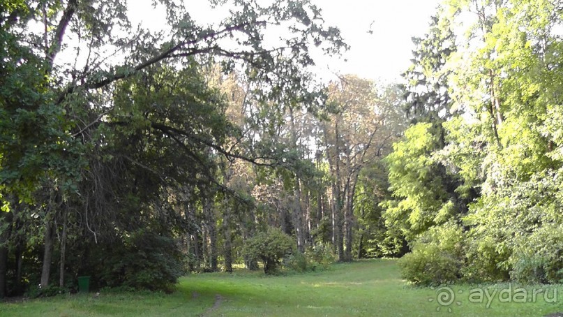 Парк Тростянец - зеленый памятник человеческому труду и природе.
