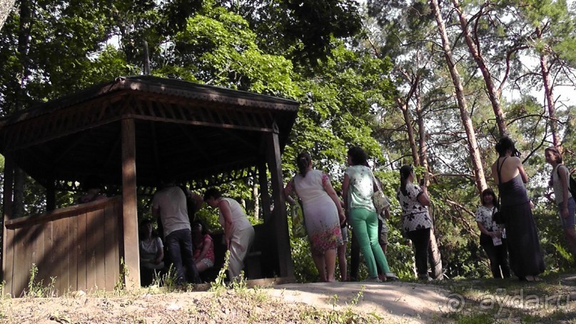 Парк Тростянец - зеленый памятник человеческому труду и природе.
