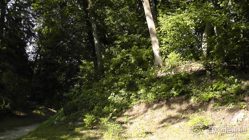 Парк Тростянец - зеленый памятник человеческому труду и природе.