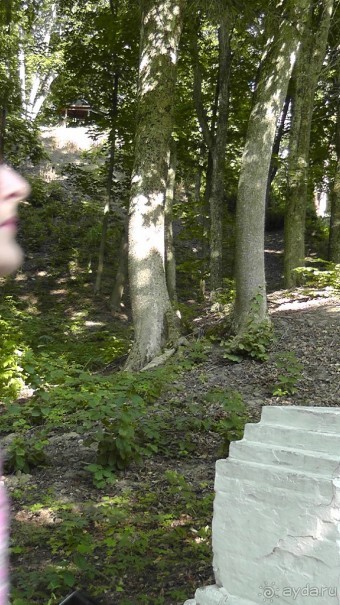 Парк Тростянец - зеленый памятник человеческому труду и природе.