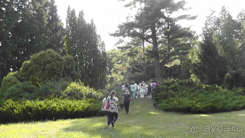 Парк Тростянец - зеленый памятник человеческому труду и природе.