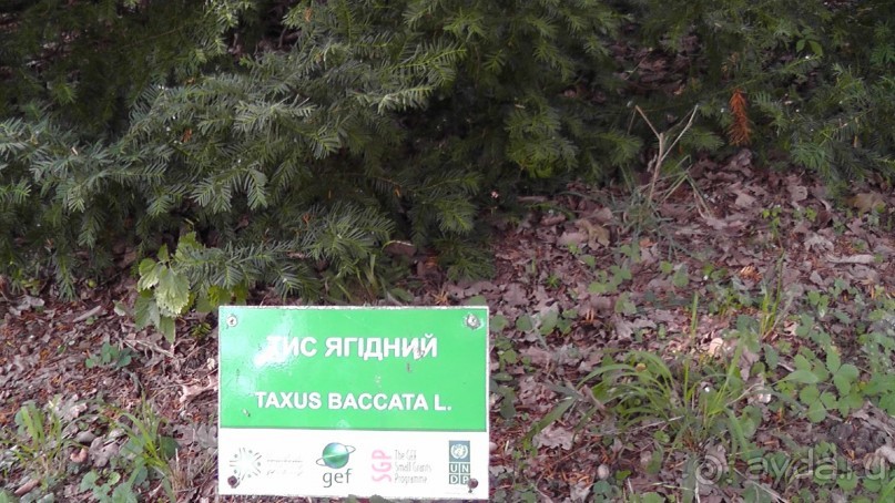 Парк Тростянец - зеленый памятник человеческому труду и природе.