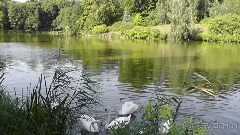 Парк Тростянец - зеленый памятник человеческому труду и природе.