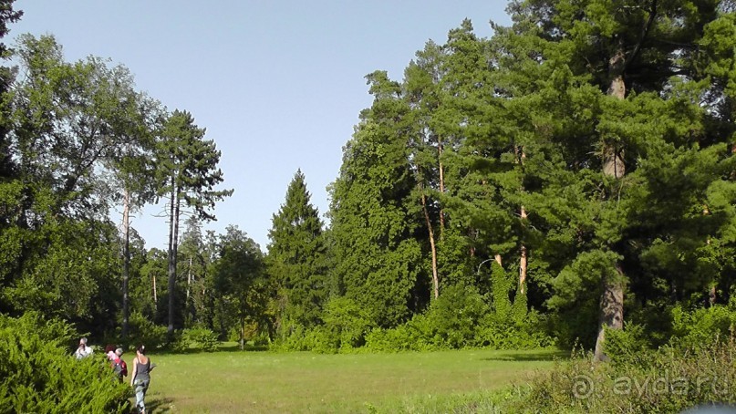 Парк Тростянец - зеленый памятник человеческому труду и природе.