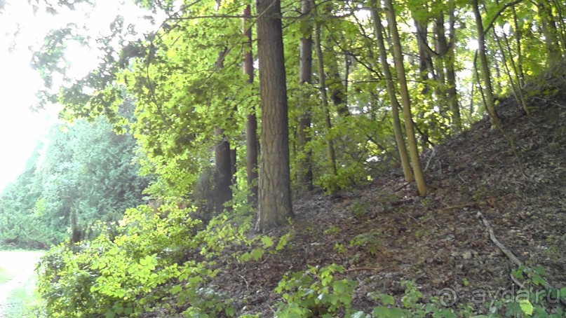 Парк Тростянец - зеленый памятник человеческому труду и природе.