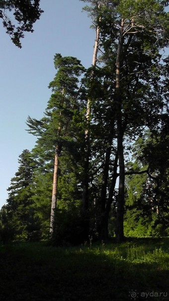 Парк Тростянец - зеленый памятник человеческому труду и природе.