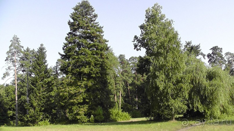 Парк Тростянец - зеленый памятник человеческому труду и природе.