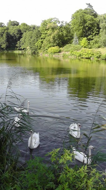 Парк Тростянец - зеленый памятник человеческому труду и природе.