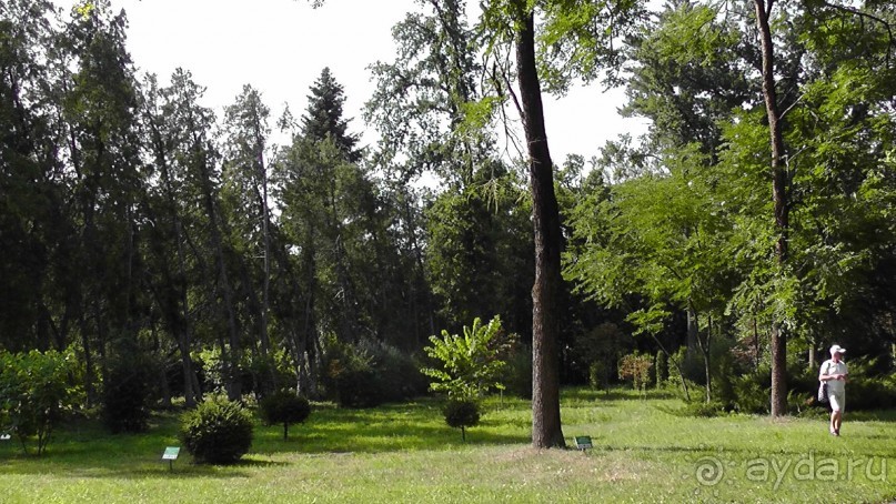 Парк Тростянец - зеленый памятник человеческому труду и природе.