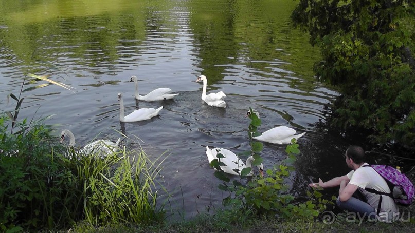 Парк Тростянец - зеленый памятник человеческому труду и природе.