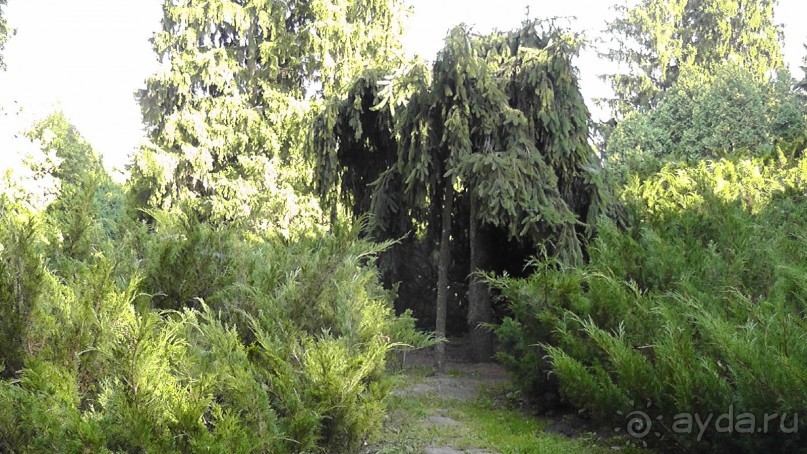Парк Тростянец - зеленый памятник человеческому труду и природе.