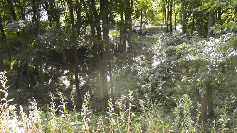 Парк Тростянец - зеленый памятник человеческому труду и природе.