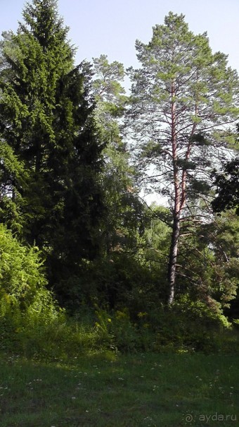 Парк Тростянец - зеленый памятник человеческому труду и природе.