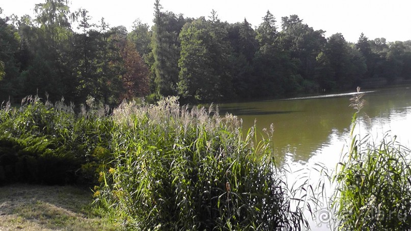 Парк Тростянец - зеленый памятник человеческому труду и природе.