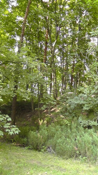 Парк Тростянец - зеленый памятник человеческому труду и природе.