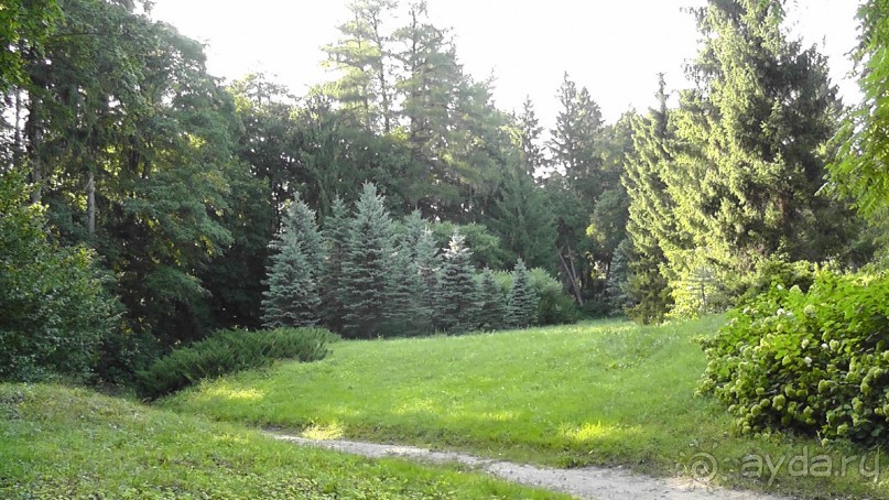 Парк Тростянец - зеленый памятник человеческому труду и природе.