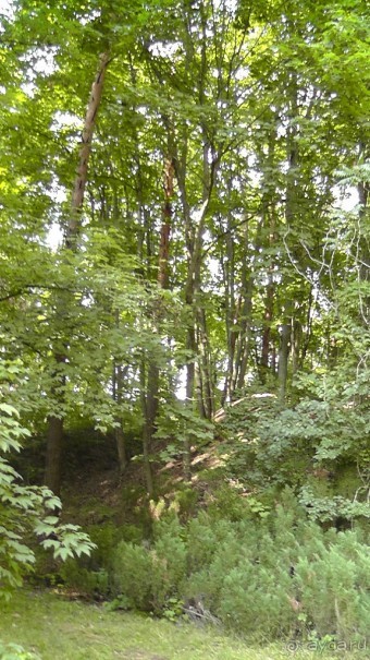 Парк Тростянец - зеленый памятник человеческому труду и природе.