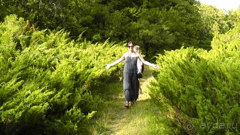 Парк Тростянец - зеленый памятник человеческому труду и природе.