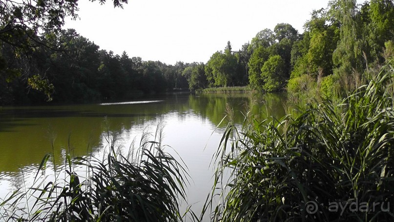 Парк Тростянец - зеленый памятник человеческому труду и природе.